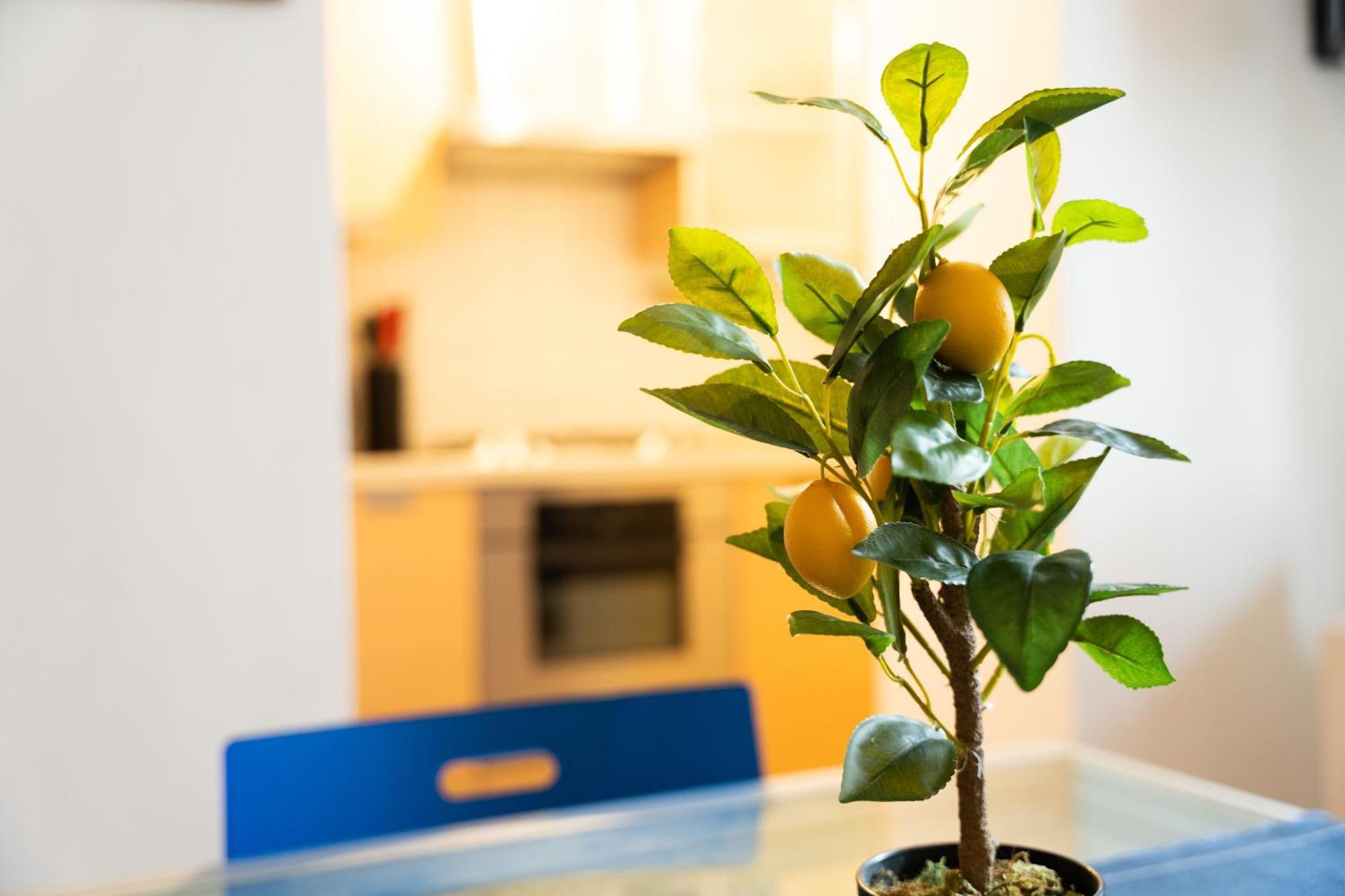 Nice Quiet Flat In Pta Venezia มิลาน ภายนอก รูปภาพ